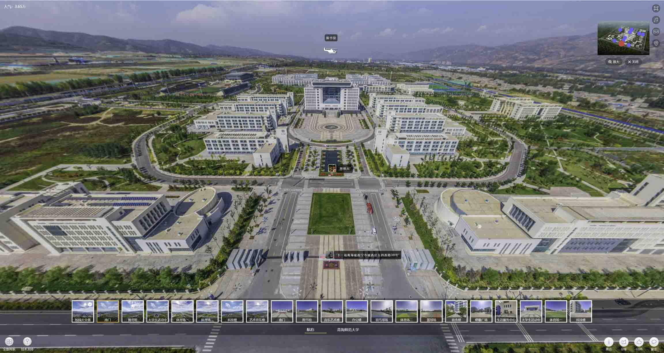 新源油菜花-惊艳半生的花海仙境